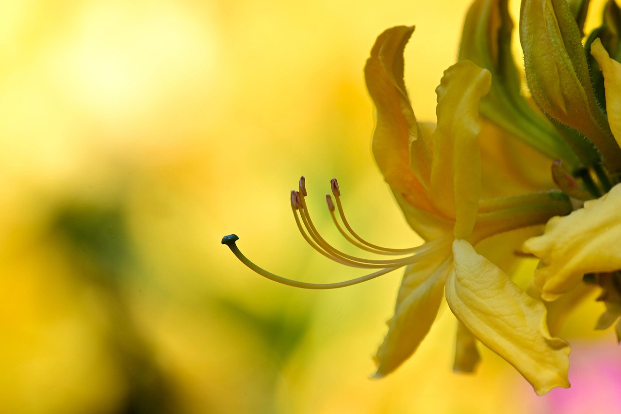 Korea's Brand Boom: K-Beauty and Tourism Hit Record Highs in 2026