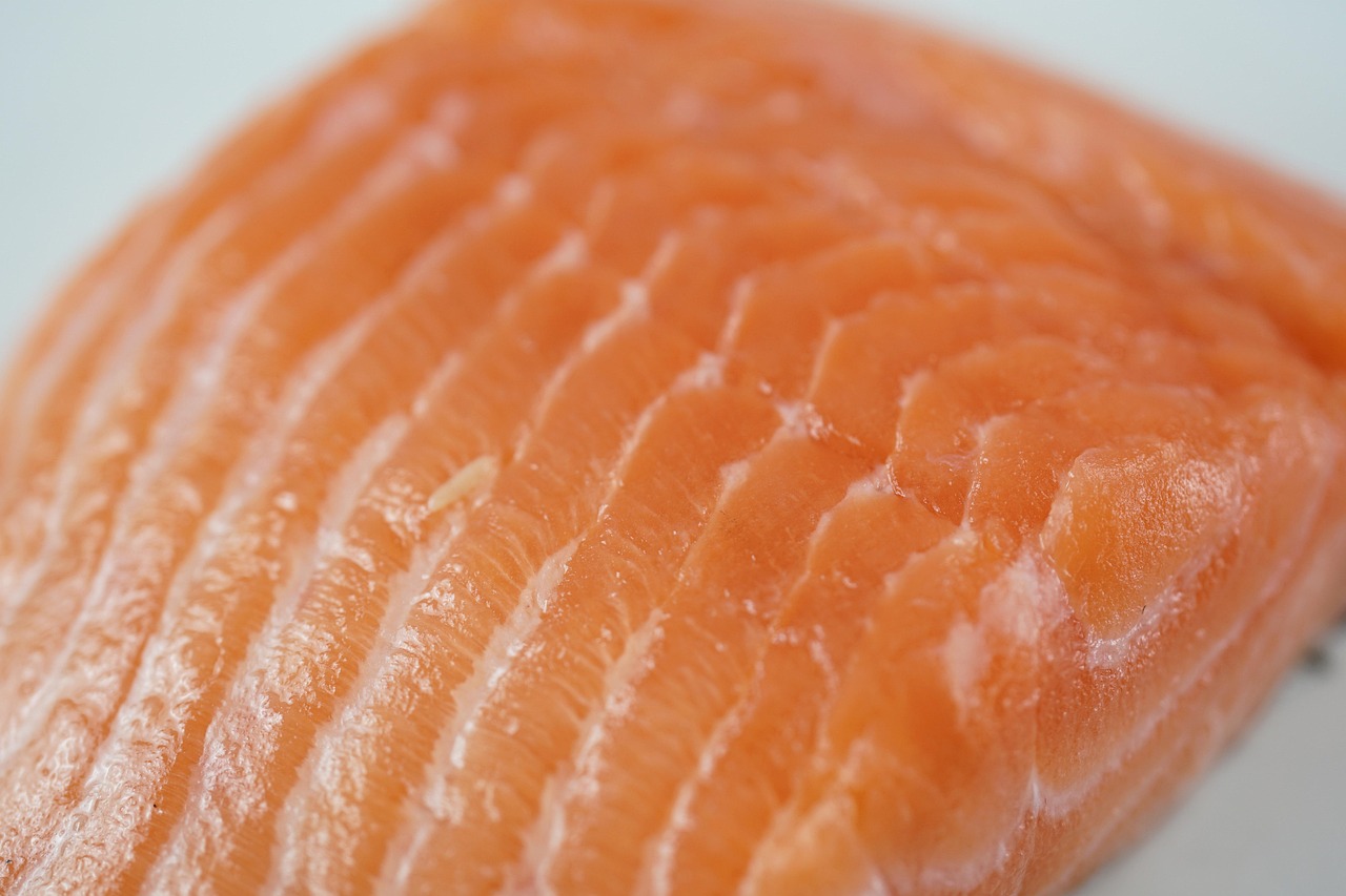 Saving Salmon: Norway's Fjord Pollution and a US Tribe's Wetland Plan 본문 이미지