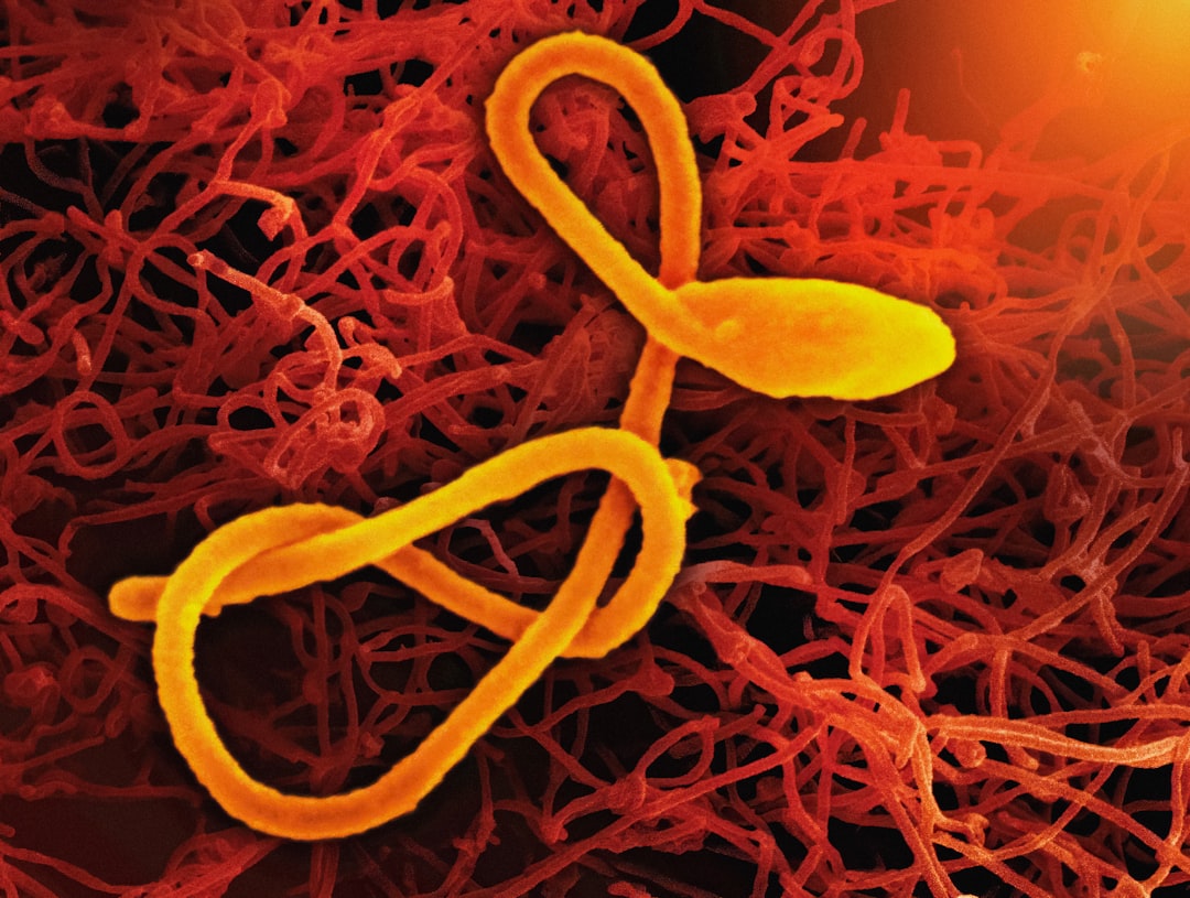 Why Africa's Health Experts Say Ebola Travel Bans Won't Work 본문 이미지