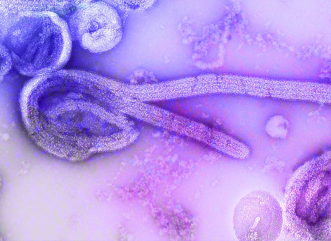 Why Africa's Health Experts Say Ebola Travel Bans Won't Work