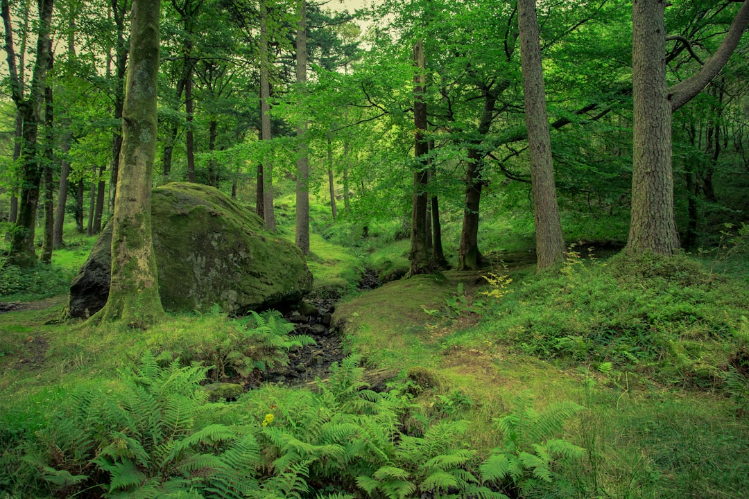 How Wild Nature Can Help Fight Climate Change 본문 이미지