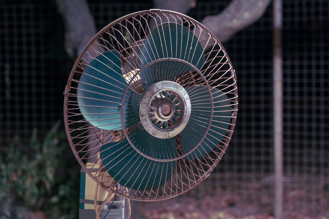 UK Heatwave Tests Festival Fans and Family Budgets 본문 이미지