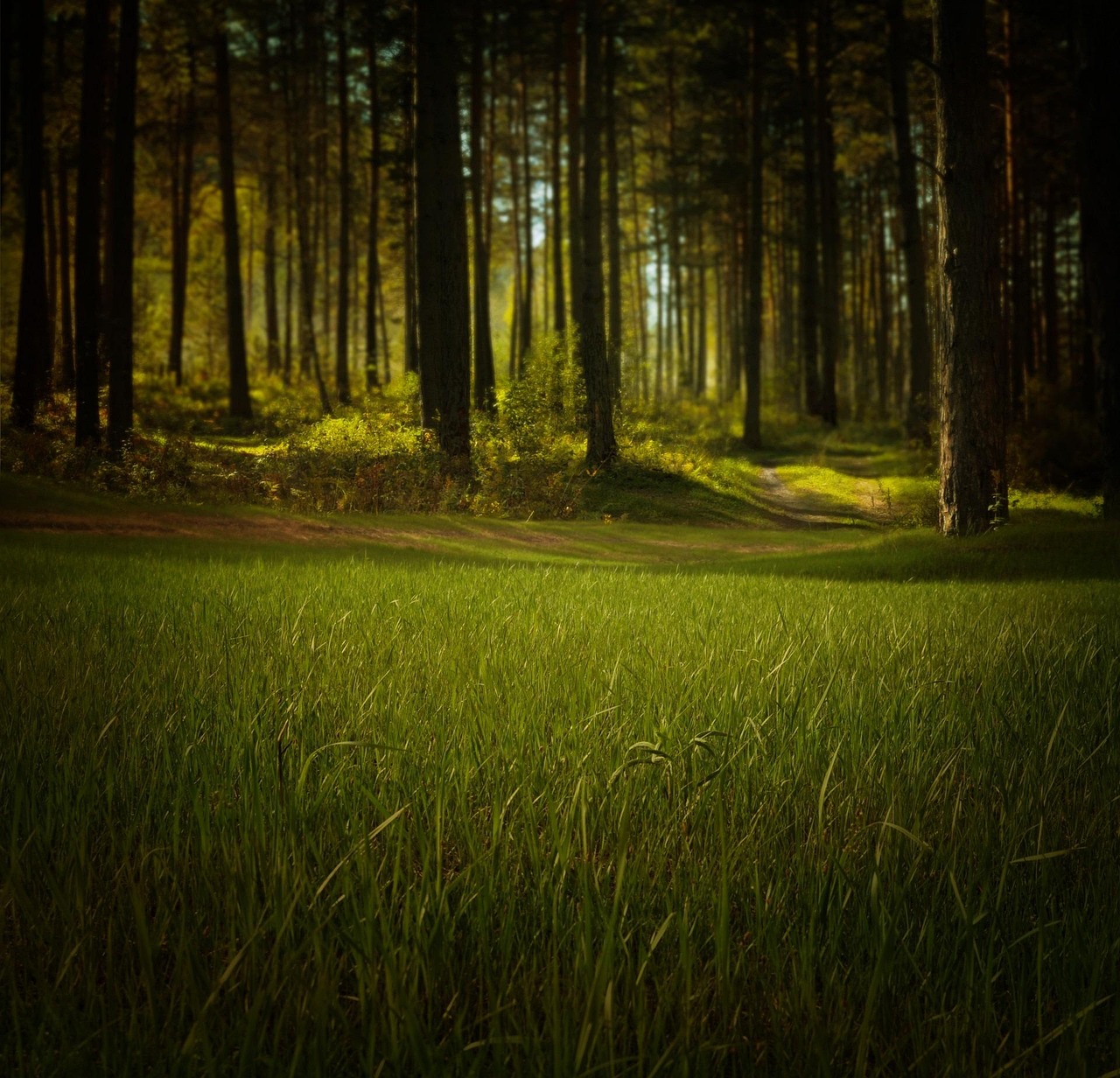 A Vision for Survival: How Equality and Nature Can Save Our Planet 본문 이미지