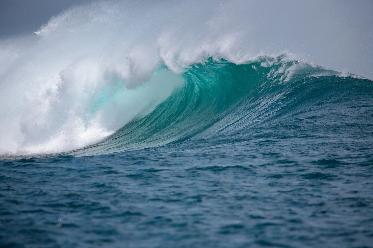 Record High Ocean Temperatures Threaten Marine Ecosystems and Weather