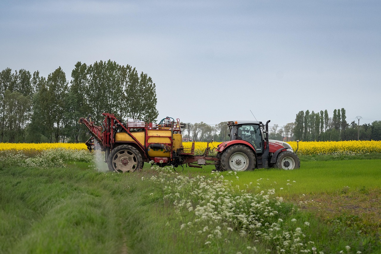 Europe's Climate Crisis: Heatwaves and Rising Seas Threaten Food and Homes 본문 이미지