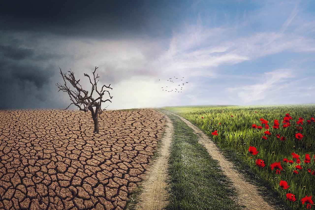 Europe's Climate Crisis: Heatwaves and Rising Seas Threaten Food and Homes