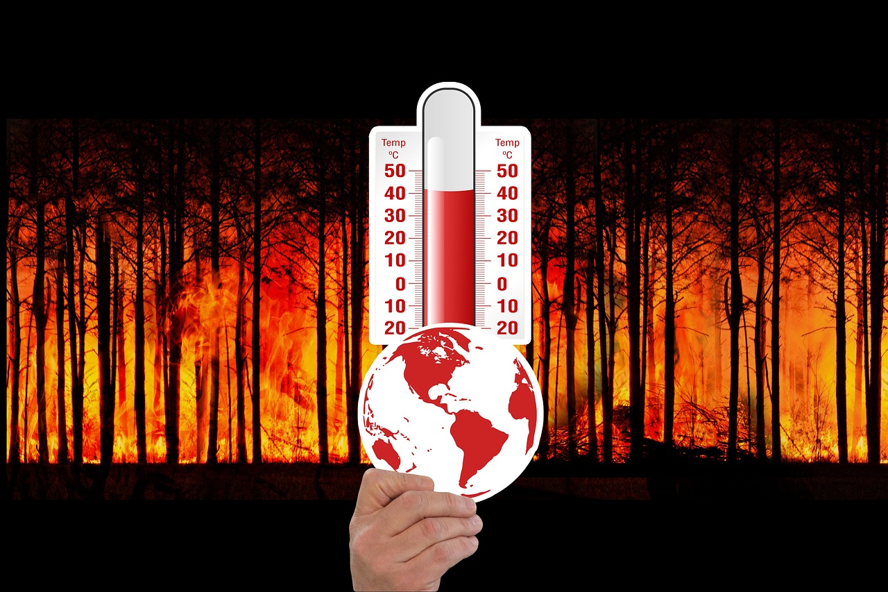 Europe's Thirsty Atmosphere: Extreme Drought and Heatwaves Hit the Continent