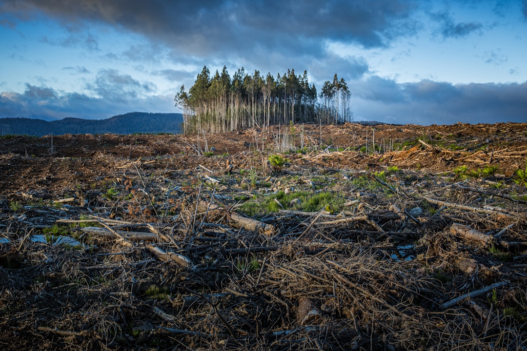 Extreme Drought and Wildfires Devastate UK Landscapes and Wildlife 본문 이미지