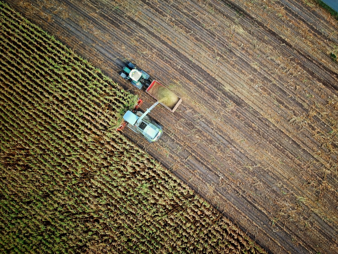 The Hidden Danger in Our Fields: Global Pesticide Poisoning Crisis 본문 이미지