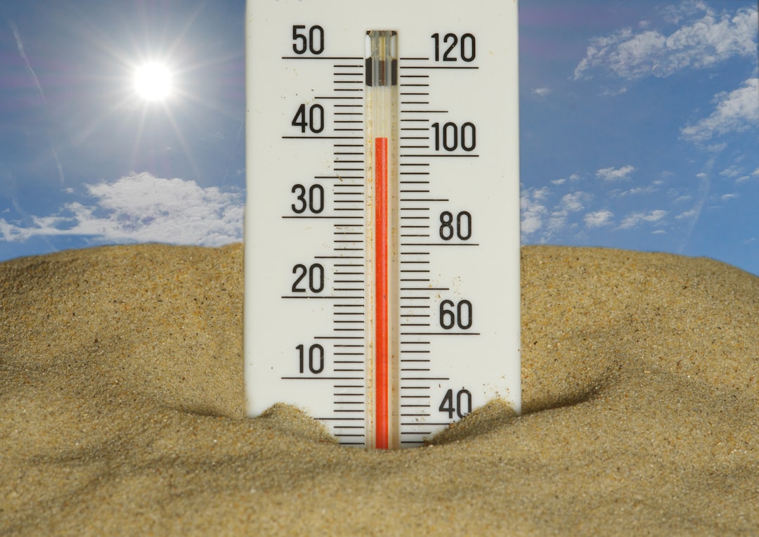 Record Heatwaves and Rising Temperatures: A Global Climate Warning 본문 이미지
